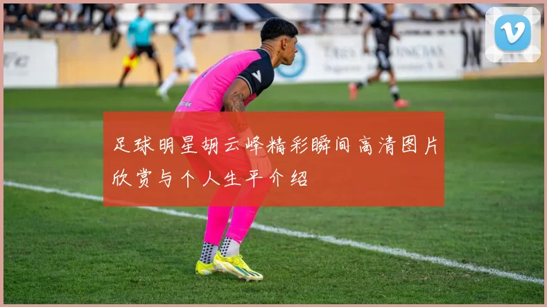 足球明星胡云峰精彩瞬间高清图片欣赏与个人生平介绍