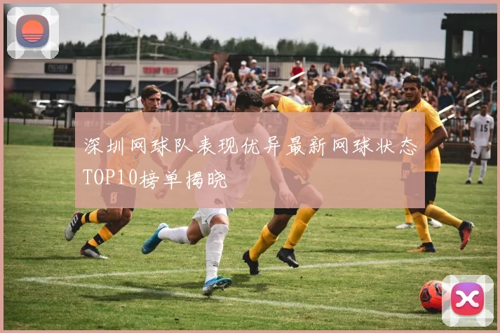 深圳网球队表现优异最新网球状态TOP10榜单揭晓