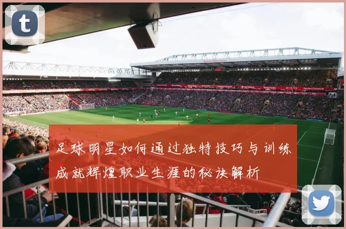 足球明星如何通过独特技巧与训练成就辉煌职业生涯的秘诀解析