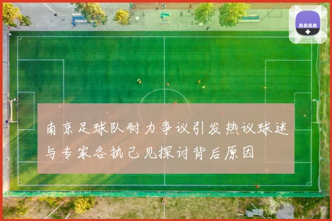 南京足球队耐力争议引发热议球迷与专家各执己见探讨背后原因