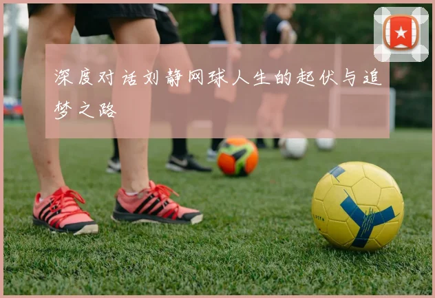 深度对话刘静网球人生的起伏与追梦之路