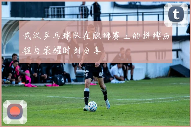 武汉乒乓球队在欧锦赛上的拼搏历程与荣耀时刻分享