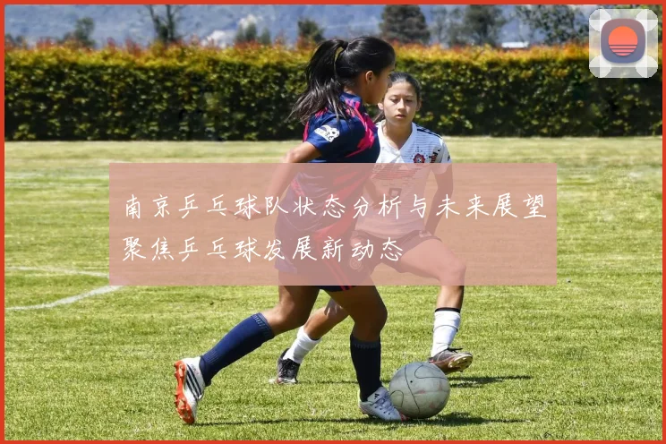南京乒乓球队状态分析与未来展望聚焦乒乓球发展新动态