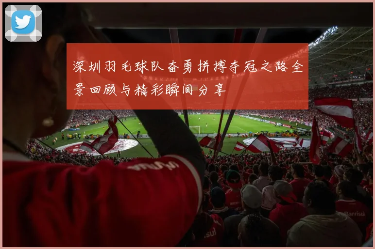 深圳羽毛球队奋勇拼搏夺冠之路全景回顾与精彩瞬间分享