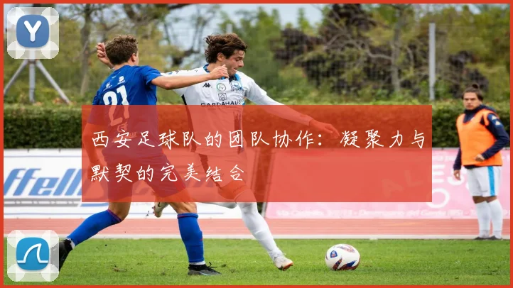 西安足球队的团队协作：凝聚力与默契的完美结合