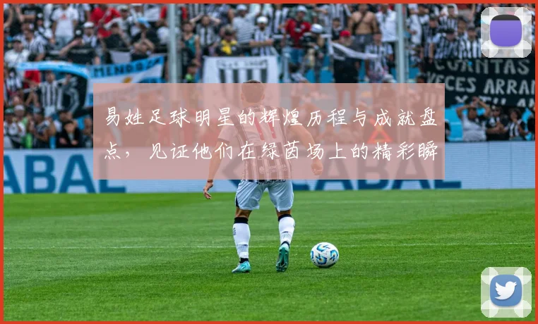易姓足球明星的辉煌历程与成就盘点，见证他们在绿茵场上的精彩瞬间