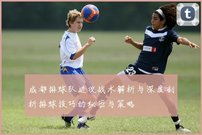 成都排球队进攻战术解析与深度剖析排球技巧的秘密与策略