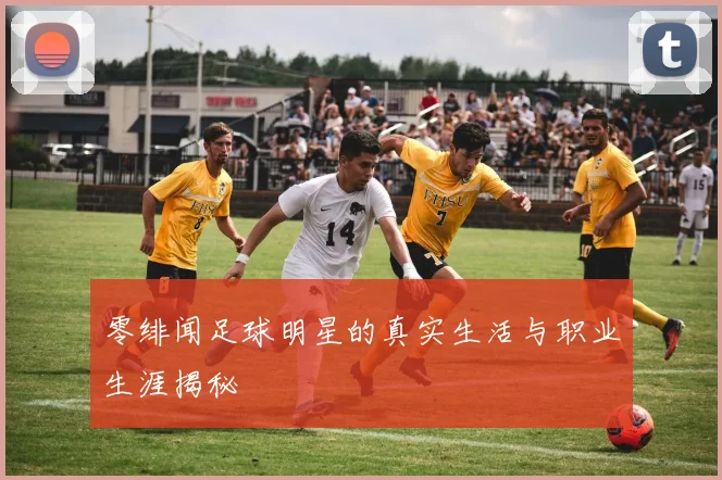 零绯闻足球明星的真实生活与职业生涯揭秘