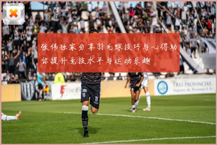 张伟独家分享羽毛球技巧与心得助你提升竞技水平与运动乐趣