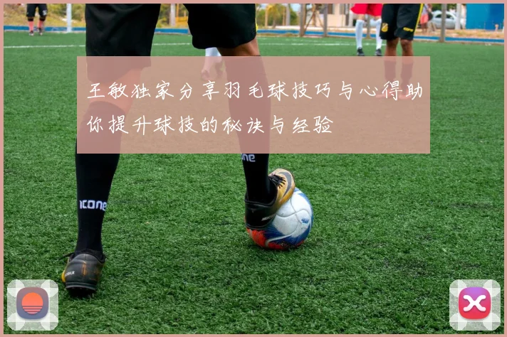 王敏独家分享羽毛球技巧与心得助你提升球技的秘诀与经验