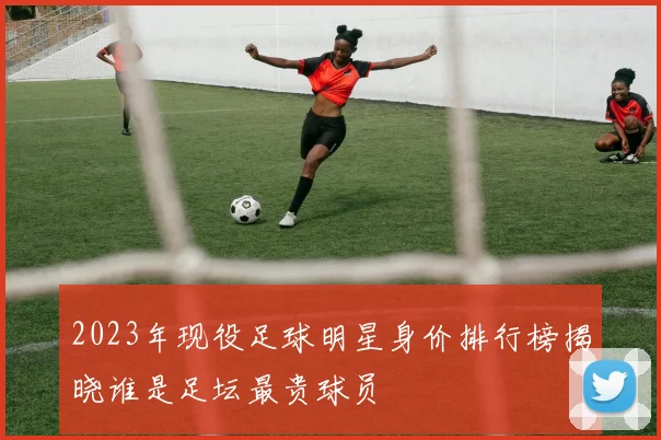 2023年现役足球明星身价排行榜揭晓谁是足坛最贵球员